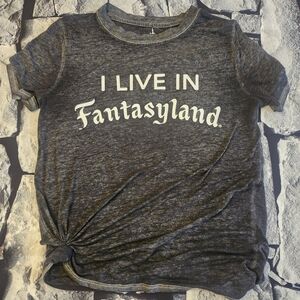 Disney Parks Fantasyland Gray T-Shirt